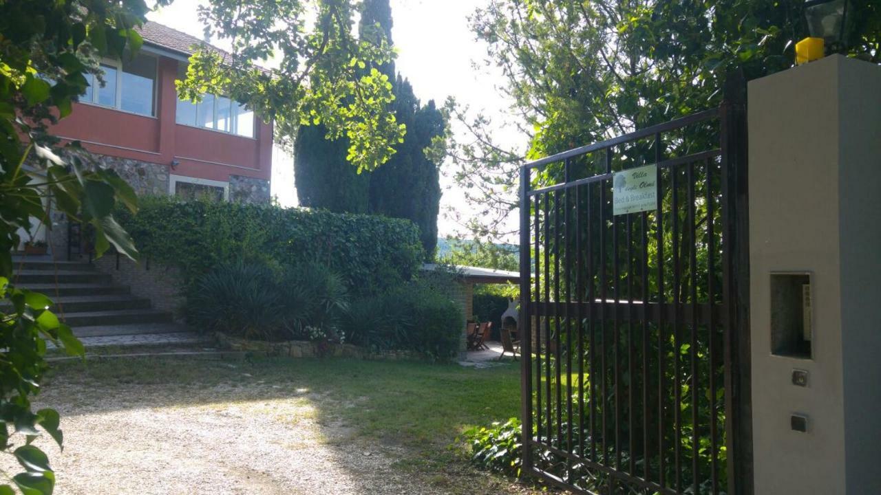 Villa degli Olmi Allumiere Esterno foto
