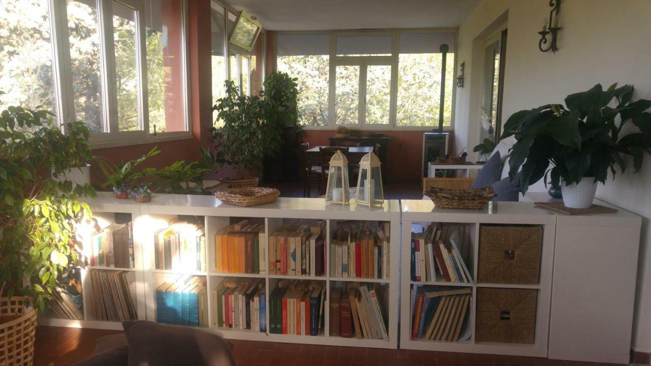 Villa degli Olmi Allumiere Esterno foto