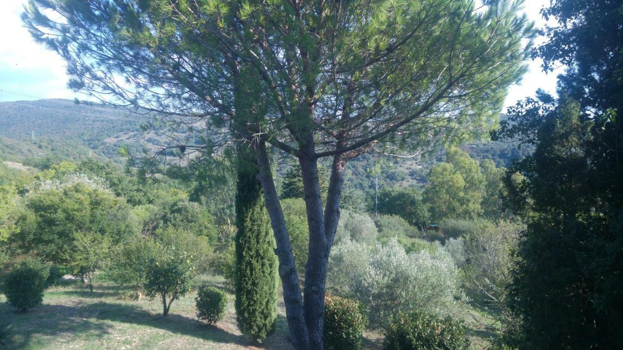 Villa degli Olmi Allumiere Esterno foto