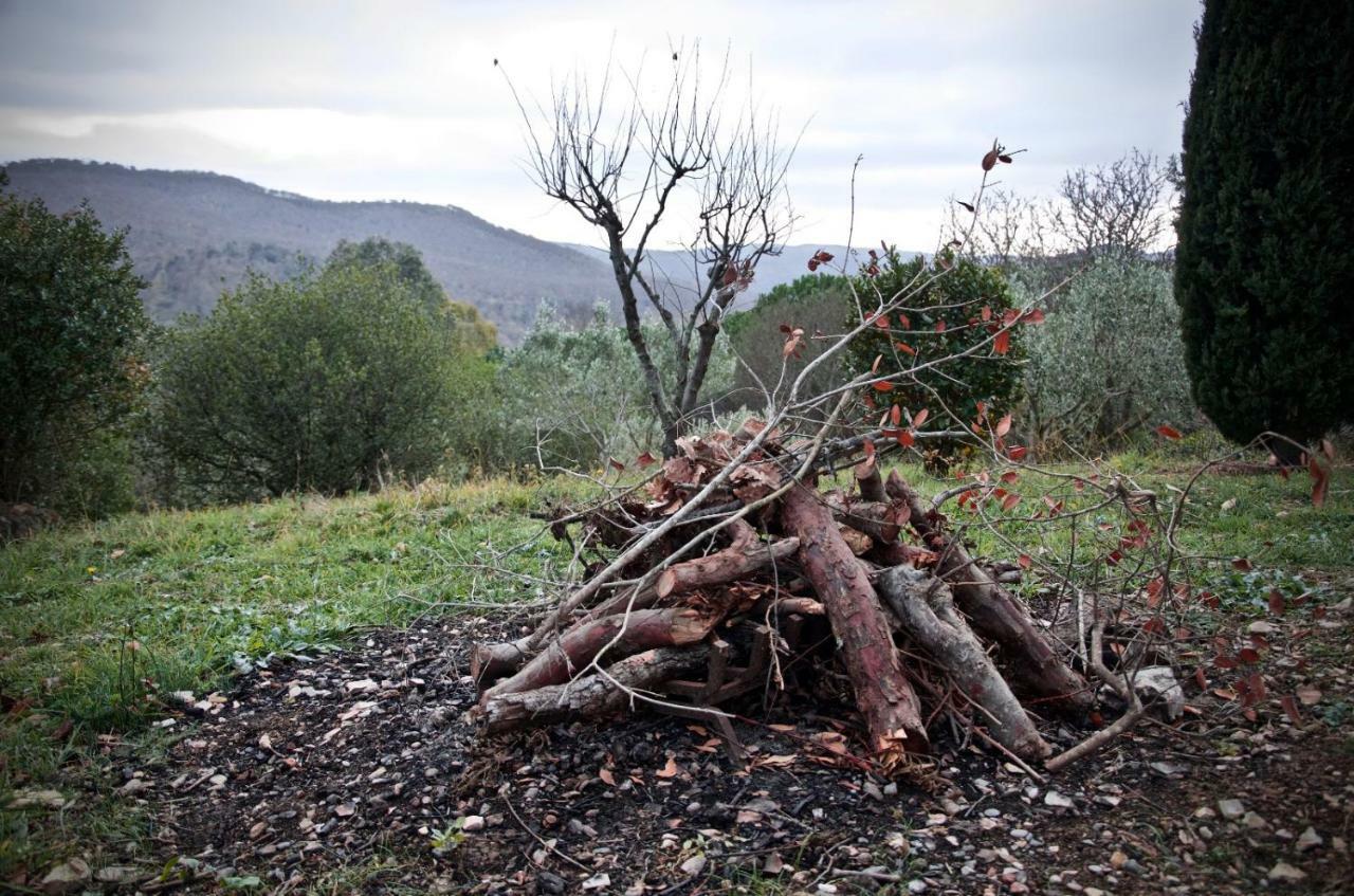 Villa degli Olmi Allumiere Esterno foto